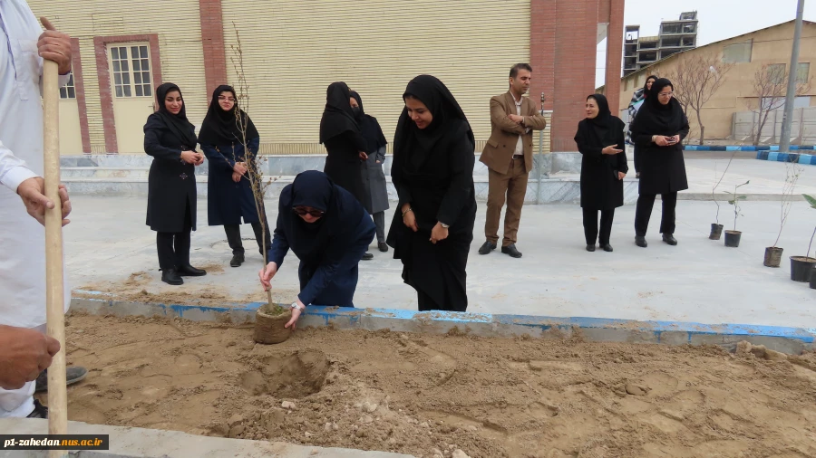 باحضورمسئولین و کارکنان دانشگاه ملی مهارت واحد استان سیستان و بلوچستان برگزار شد :
کاشت نهال به مناسبت  هفته منابع طبیعی و روز درختکاری 5