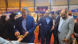 با حضور معاون توسعه اشتغال وزارت تعاون، کار و رفاه اجتماعی آغاز به کار کرد:
هشتمین بازارچه دانشجویی دانشگاه ملی مهارت در دانشکده دکتر شریعتی تهران 3
